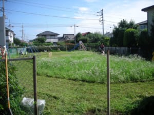 草刈り前