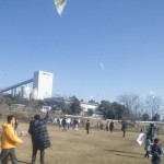 拝島自然公園での凧揚げ風景
