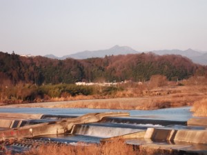 新春の多摩川と遠く大岳山を望む